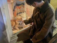 -餐酒吧Com-ing Bar(上海路店)