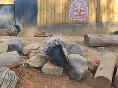 -云南野生动物园