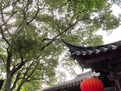 -常熟方塔园