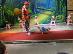 -昆明大悦城未来动物城(螺蛳湾中心店)