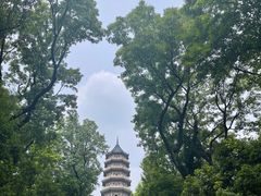 -灵谷景区