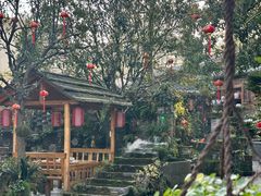 -青城甲(青城山店)