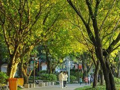 -乌山风景区
