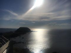 -企鹅岛