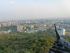 -杭州半山国家森林公园