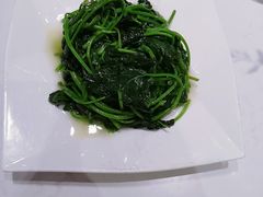 地瓜叶-鹿港小镇(金虹桥国际中心店)