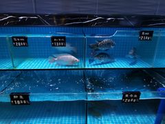 水产区-美百惠生鲜超市(西福蓝湾店)