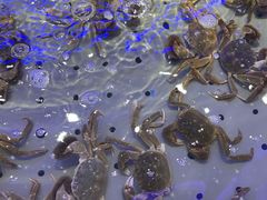 -澜悦港海鲜体验主题餐厅