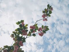 -温江公园