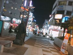 -宝健路步行街(Pedestrian Shopping Street)