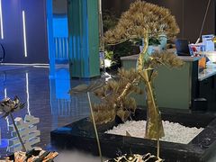-美足时光·精致悦足·水疗SPA(德阳希望城店)