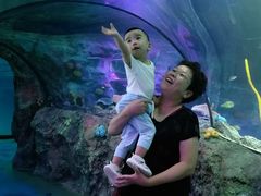 -沈阳海洋探索中心