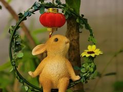 -后海16号·北京私房菜