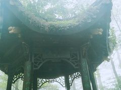 -四明山国家森林公园