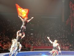 -珠海横琴长隆《卡卡虎奇遇记》