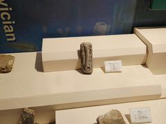 -辽宁古生物博物馆