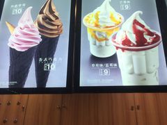 -麦丽丝红油辣椒冰淇淋(江家巷店)