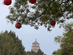 -大雁塔文化休闲景区-北广场