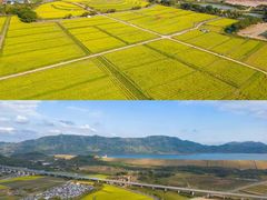 -光明小镇欢乐田园