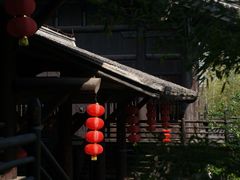 -大唐贡茶院
