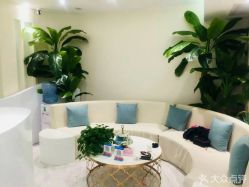 -健身堂科技美肌SPA