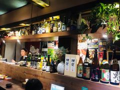 -春草居酒屋·晴子の店