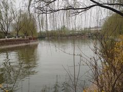 -南翠屏公园