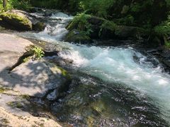 -凤凰山国家森林公园
