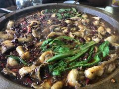 -都江堰石锅鱼