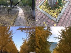 -辽宁大学(崇山校区)