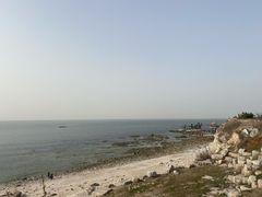 -养马岛旅游度假区
