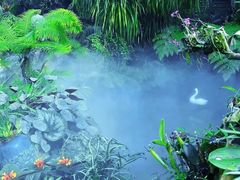 -东莞植物园
