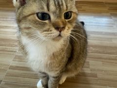 -喵小馆·猫咖狗咖猪咖·饮品店