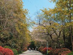 -长广溪湿地公园