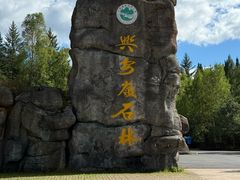 -汤旺河林海奇石景区