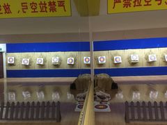 -道顺射箭·团建·骑射(张杨路店)