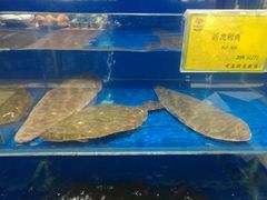 -新海渔港·胶东海鲜家常菜·家宴(奥体中心店)