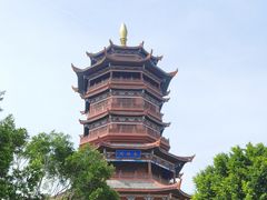 -厦门园林博览苑