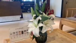 -FineYoga梵音瑜伽·普拉提