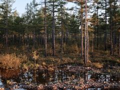 -北极村旅游风景区