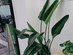 -自然之声助听器·呼吸机(康桥旗舰店)