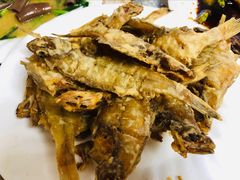 -林之六八·6886大连老菜馆