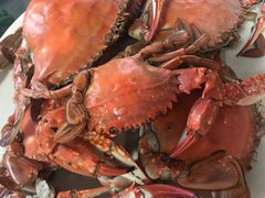 -张会海鲜饭店(东戴河店)