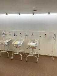 -海豚湾高端月子会所(黄浦店)