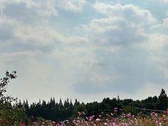 -嘉北郊野公园