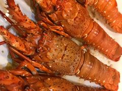 波士顿龙虾-宜宾海鲜酒家·三十年老字号