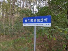 -同里国家湿地公园