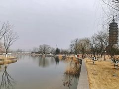 -西海子公园