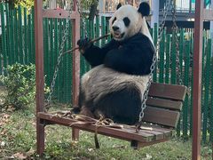 -大连森林动物园