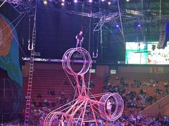 -俄罗斯国家大马戏团